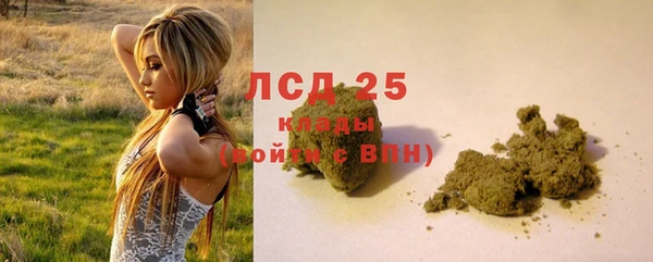 трава Чекалин