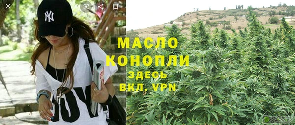 стаф Козловка