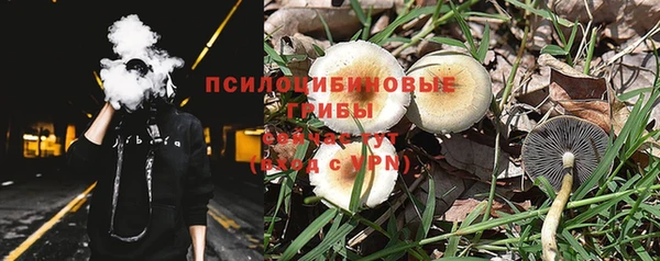 амф Кодинск