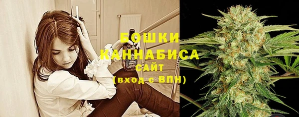 ПСИЛОЦИБИНОВЫЕ ГРИБЫ Кинешма