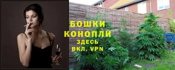 ПСИЛОЦИБИНОВЫЕ ГРИБЫ Кинешма