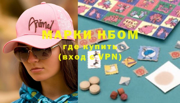 стаф Козловка