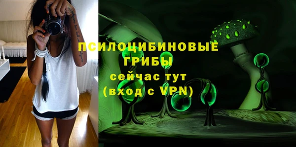метадон Козельск