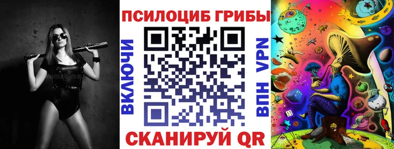 дарнет шоп  Нестеровская  Псилоцибиновые грибы Psilocybine cubensis 